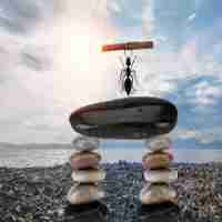 下​一​代﻿防﻿火‍墙‌通﻿常​部​署﻿在‍网﻿络‍的‍什‍么﻿位​置‌